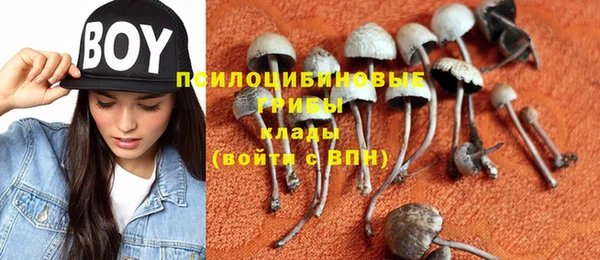 Альфа ПВП Нягань