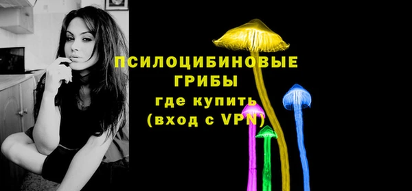 мяу мяу мука Новодвинск