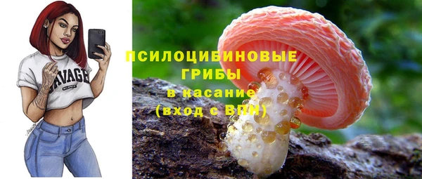 МДПВ Новозыбков